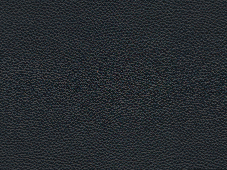 Black Royalin Leather 09519