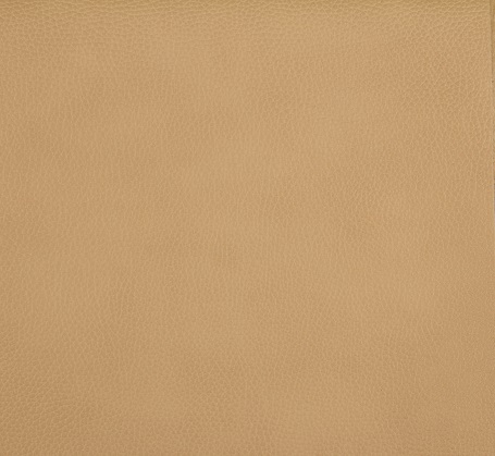 Cori Leather- Passion 09145