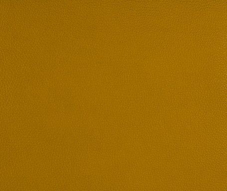 Mustard Cori Leather 09149