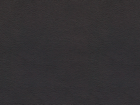 Paloma Leather- Mocca 09435