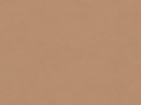 Paloma Leather- Pearl 09425